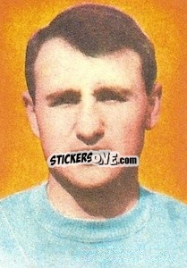 Sticker Favini - Calciatori 1959-1960
 n. 229 - Lampo