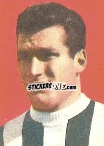 Sticker Fontanesi - Calciatori 1959-1960
 - Lampo