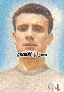 Sticker Forin - Calciatori 1959-1960
 n. 8 - Lampo