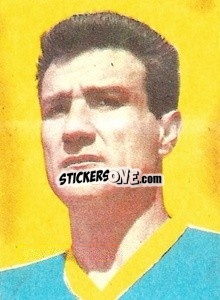 Sticker Ghizzardi