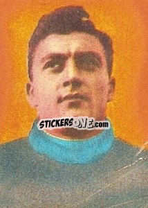 Sticker Matteucci