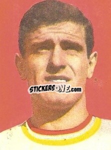 Sticker Melonari - Calciatori 1959-1960
 n. 321 - Lampo