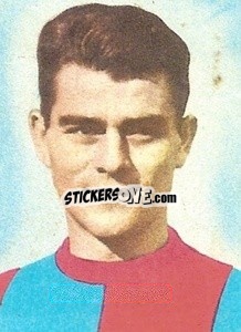 Cromo Mihalich - Calciatori 1959-1960
 n. 42 - Lampo