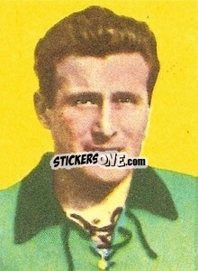 Sticker Molinare - Calciatori 1959-1960
 n. 443 - Lampo