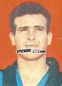 Sticker Olivieri - Calciatori 1959-1960
 n. 20 - Lampo