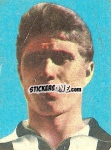 Sticker Sarti