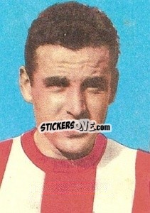 Sticker Savoini - Calciatori 1959-1960
 n. 215 - Lampo