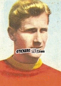 Sticker Selmosson