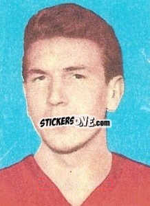 Sticker Varljen