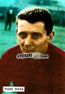 Sticker Piero Scesa - Fotocalcio 1962-1963
 n. 183 - EDIZIONE FILATELICHE

