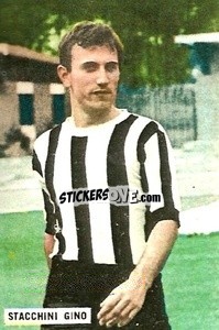 Sticker Stacchini Gino - Fotocalcio 1962-1963
 - EDIZIONE FILATELICHE
