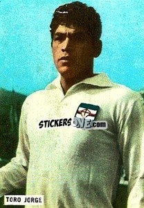 Sticker Toro Jorge - Fotocalcio 1962-1963
 n. 165 - EDIZIONE FILATELICHE
