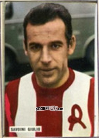 Figurina Giulio Savoini - Fotocalcio 1963-1964
 n. 206 - EDIZIONE FILATELICHE
