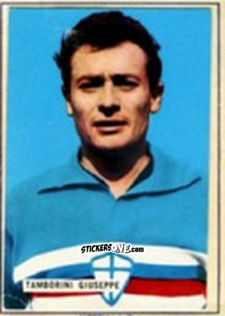 Cromo Giuseppe Tamborini - Fotocalcio 1963-1964
 n. 177 - EDIZIONE FILATELICHE
