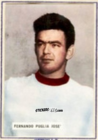 Figurina Jose' Fernando Puglia - Fotocalcio 1963-1964
 n. 21 - EDIZIONE FILATELICHE
