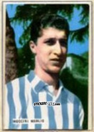 Figurina Manlio Muccini - Fotocalcio 1963-1964
 n. 186 - EDIZIONE FILATELICHE
