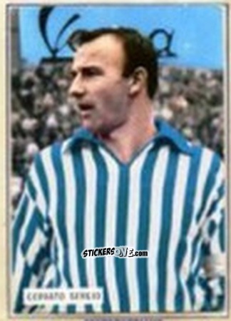 Figurina Sergio Cervato - Fotocalcio 1963-1964
 n. 185 - EDIZIONE FILATELICHE

