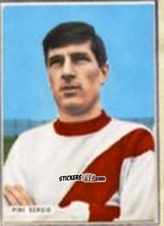 Figurina Sergio Pini - Fotocalcio 1963-1964
 n. 113 - EDIZIONE FILATELICHE
