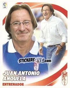 Sticker Juan Antonio Anquela - Liga Spagnola 2012-2013 n. 242 - Colecciones ESTE