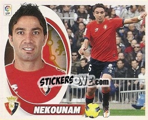 Cromo Nekounam  (9) - Liga Spagnola 2012-2013 - Colecciones ESTE