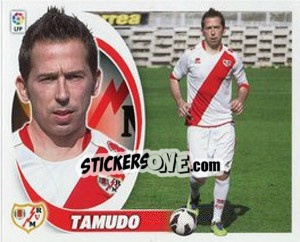 Sticker Tamudo - Liga Spagnola 2012-2013 - Colecciones ESTE