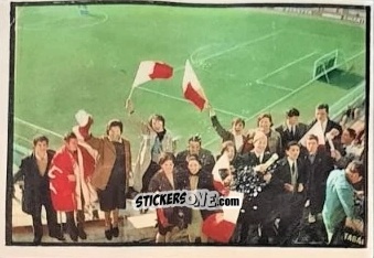 Cromo Il Tifosi