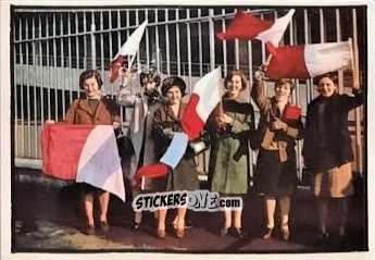 Cromo Il Tifosi
