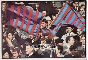 Cromo Il Tifosi