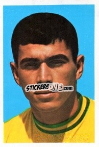 Cromo Clodoaldo - The Wonderful World of Soccer Stars 1970-1971
 - FKS