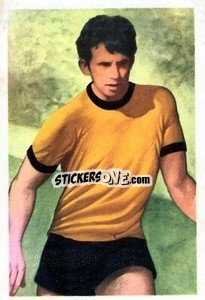 Sticker Danny Hegan - The Wonderful World of Soccer Stars 1970-1971
 - FKS
