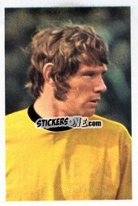 Sticker David Wagstaffe - The Wonderful World of Soccer Stars 1970-1971
 - FKS