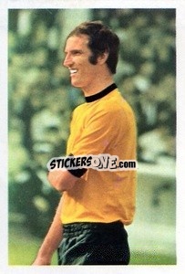 Sticker Derek Dougan - The Wonderful World of Soccer Stars 1970-1971
 n. 318 - FKS