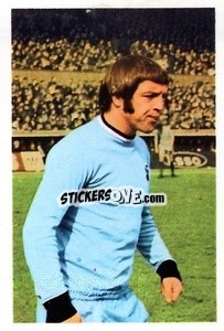 Cromo Ernie Hunt - The Wonderful World of Soccer Stars 1970-1971
 n. 70 - FKS