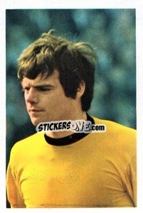 Sticker Frank Munro - The Wonderful World of Soccer Stars 1970-1971
 n. 323 - FKS