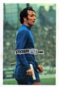 Sticker John Boyle - The Wonderful World of Soccer Stars 1970-1971
 - FKS