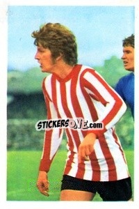Cromo Mick Channon - The Wonderful World of Soccer Stars 1970-1971
 n. 242 - FKS