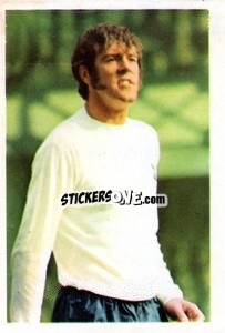 Cromo Mike England - The Wonderful World of Soccer Stars 1970-1971
 - FKS