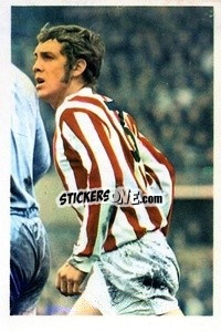 Cromo Mike Pejic - The Wonderful World of Soccer Stars 1970-1971
 - FKS