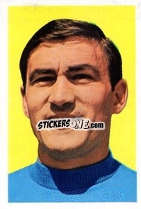 Sticker Tarcisio Burgnich - The Wonderful World of Soccer Stars 1970-1971
 n. 407 - FKS