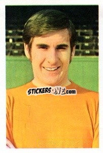 Sticker Terry Alcock - The Wonderful World of Soccer Stars 1970-1971
 n. 16 - FKS