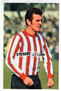 Cromo Terry Paine - The Wonderful World of Soccer Stars 1970-1971
 - FKS