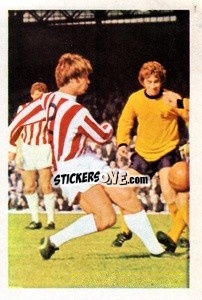 Sticker Alex Elder - The Wonderful World of Soccer Stars 1971-1972
 - FKS