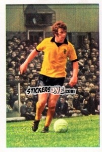 Sticker Danny Hegan - The Wonderful World of Soccer Stars 1971-1972
 - FKS