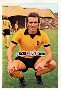 Sticker Derek Dougan - The Wonderful World of Soccer Stars 1971-1972
 - FKS
