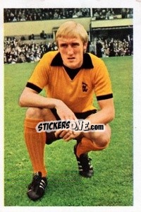 Sticker Derek Parkin - The Wonderful World of Soccer Stars 1971-1972
 n. 328 - FKS