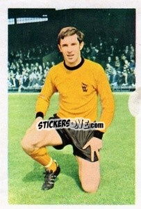 Sticker Gerry Taylor - The Wonderful World of Soccer Stars 1971-1972
 n. 329 - FKS
