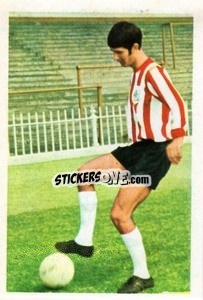 Sticker John Flynn - The Wonderful World of Soccer Stars 1971-1972
 - FKS