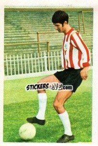 Sticker John Flynn - The Wonderful World of Soccer Stars 1971-1972
 n. 233 - FKS