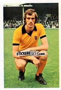 Sticker John Holsgrove - The Wonderful World of Soccer Stars 1971-1972
 - FKS
