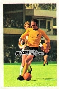 Sticker Derek Dougan - The Wonderful World of Soccer Stars 1972-1973
 n. 318 - FKS